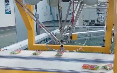 Berbagai Mitos Tentang Delta Robot Palletizer