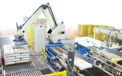 Berbagai Pilihan Fuji Robotic Palletizer